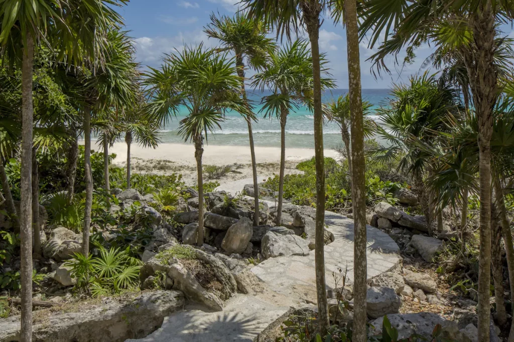 Gallery La Casa De La Playa By Hoteles Xcaret
