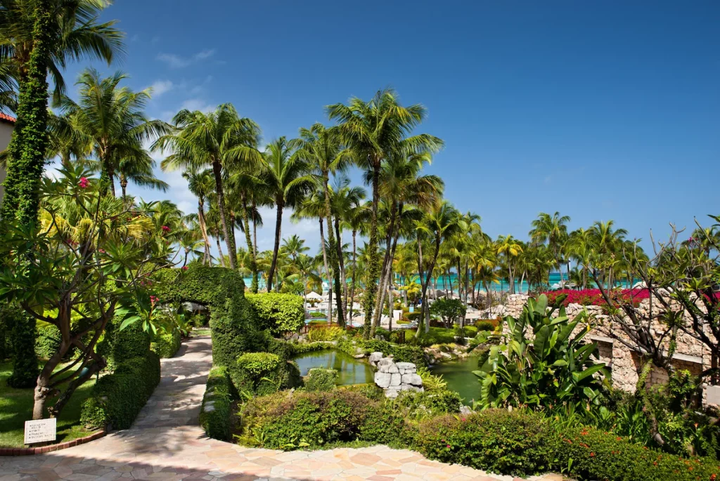 Gallery Hyatt Regency Aruba Resort Spa & Casino