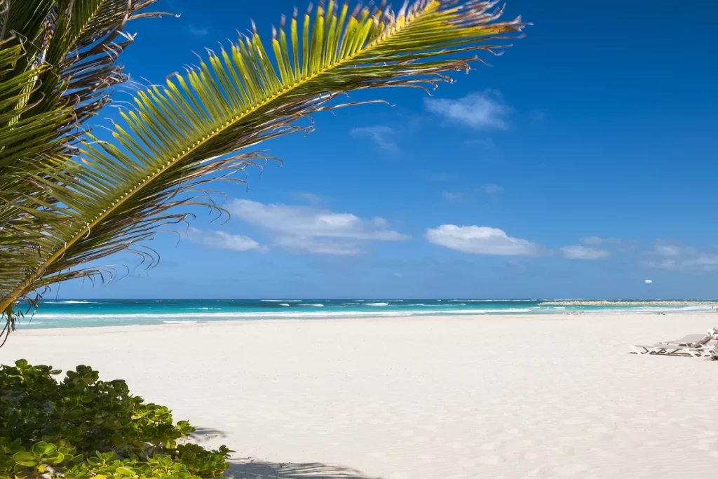 Gallery Hard Rock Hotel In Punta Cana