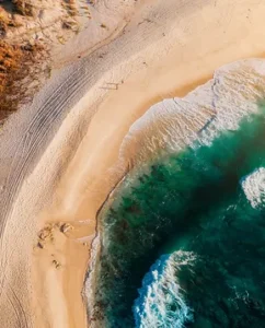 Cabo San Lucas Destination Wedding