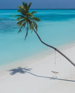 Riviera Maya Destination Wedding