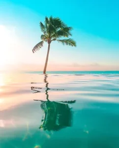 Punta Cana Wedding Destination